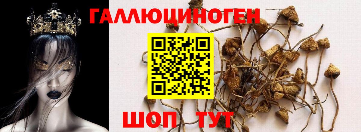 Галлюциногенные грибы GOLDEN TEACHER  Вход с VPN  Дюртюли 